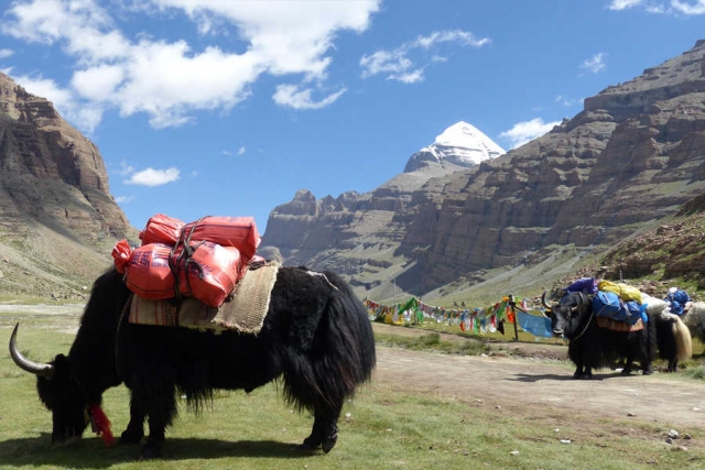 Tibet - unterwegs auf dem Dach der Welt