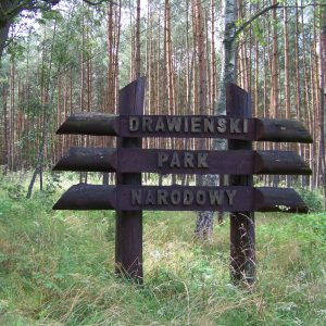 Polen - Mit dem Boot unterwegs im Drawienski-Nationalpark