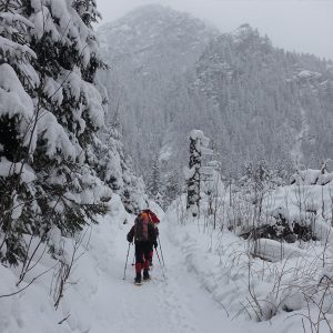 Polen & Slowakei - Winter aktiv im kleinsten Hochgebirge der Welt