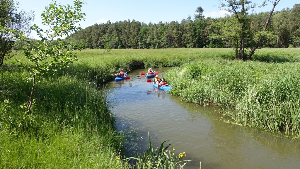 Paddel- und Kanutour auf der Ploucnice