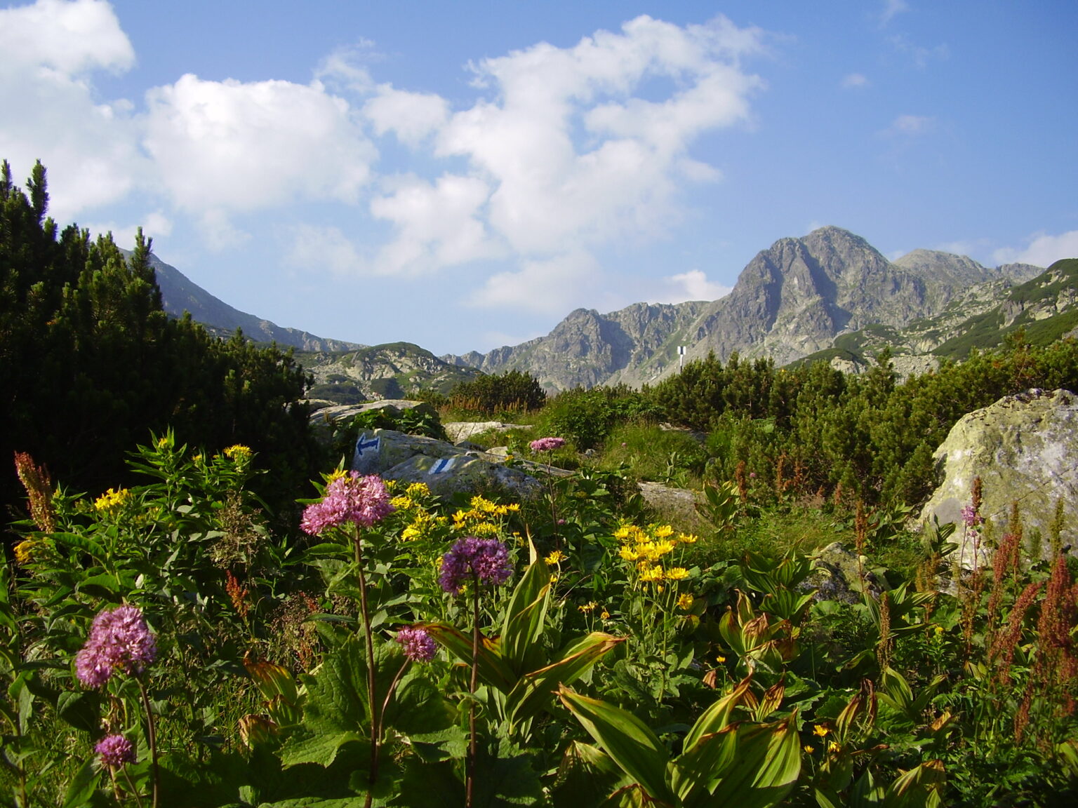 Rumänien - Retezat Gebirge