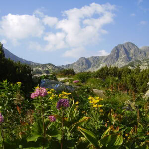 Rumänien - Retezat Gebirge