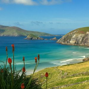 Irland - unterwegs auf der Grünen Insel
