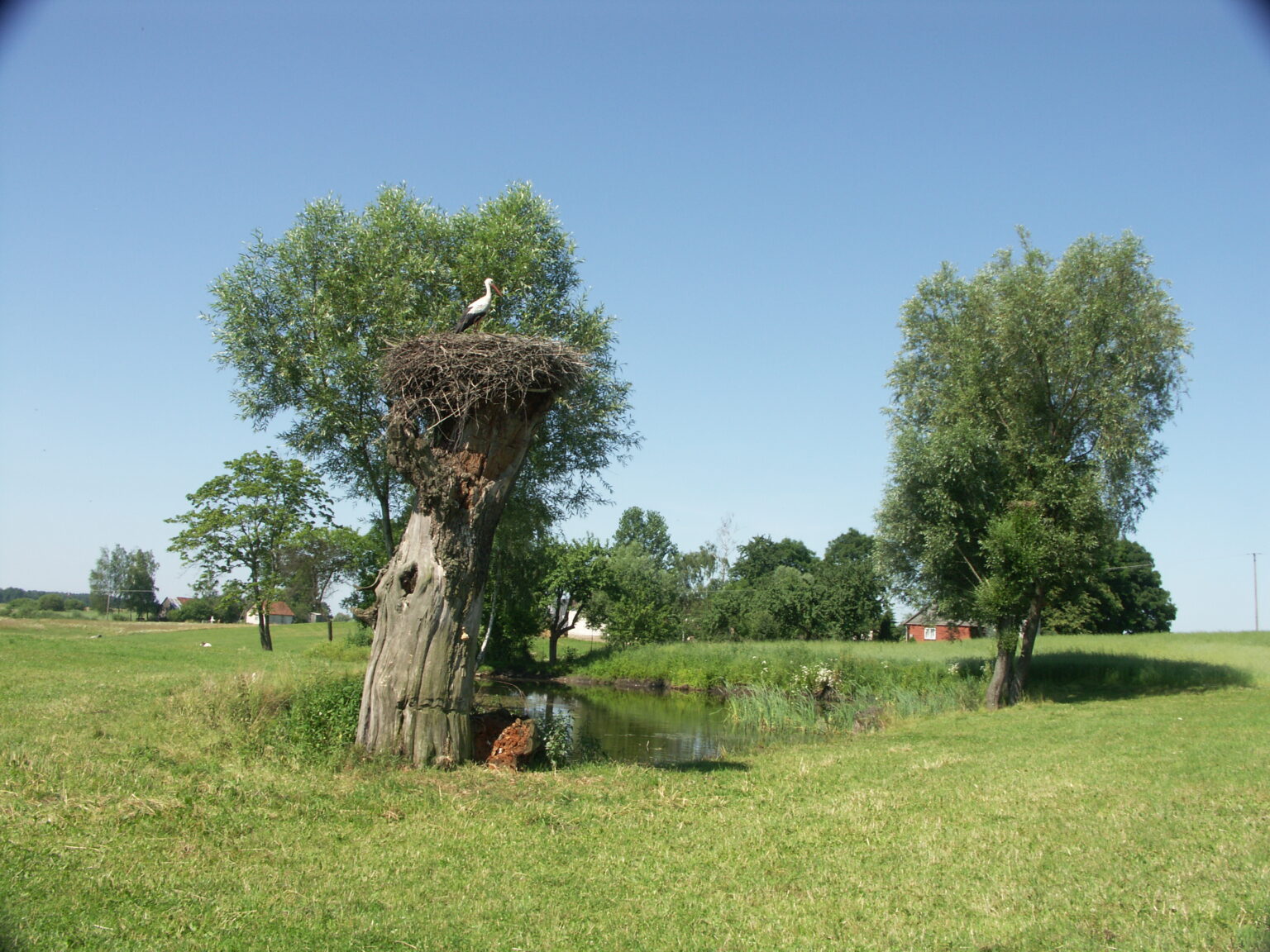 Masuren aktiv erleben, eine Reise mit Paddeln, Wandern und Radfahren.