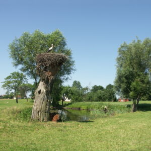 Masuren aktiv erleben, eine Reise mit Paddeln, Wandern und Radfahren.