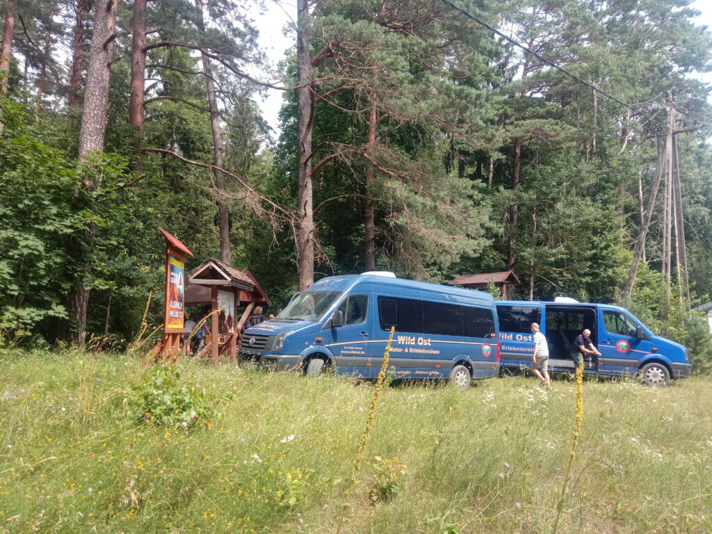 Unterwegs mit Wild Ost in Masuren.++++++++++