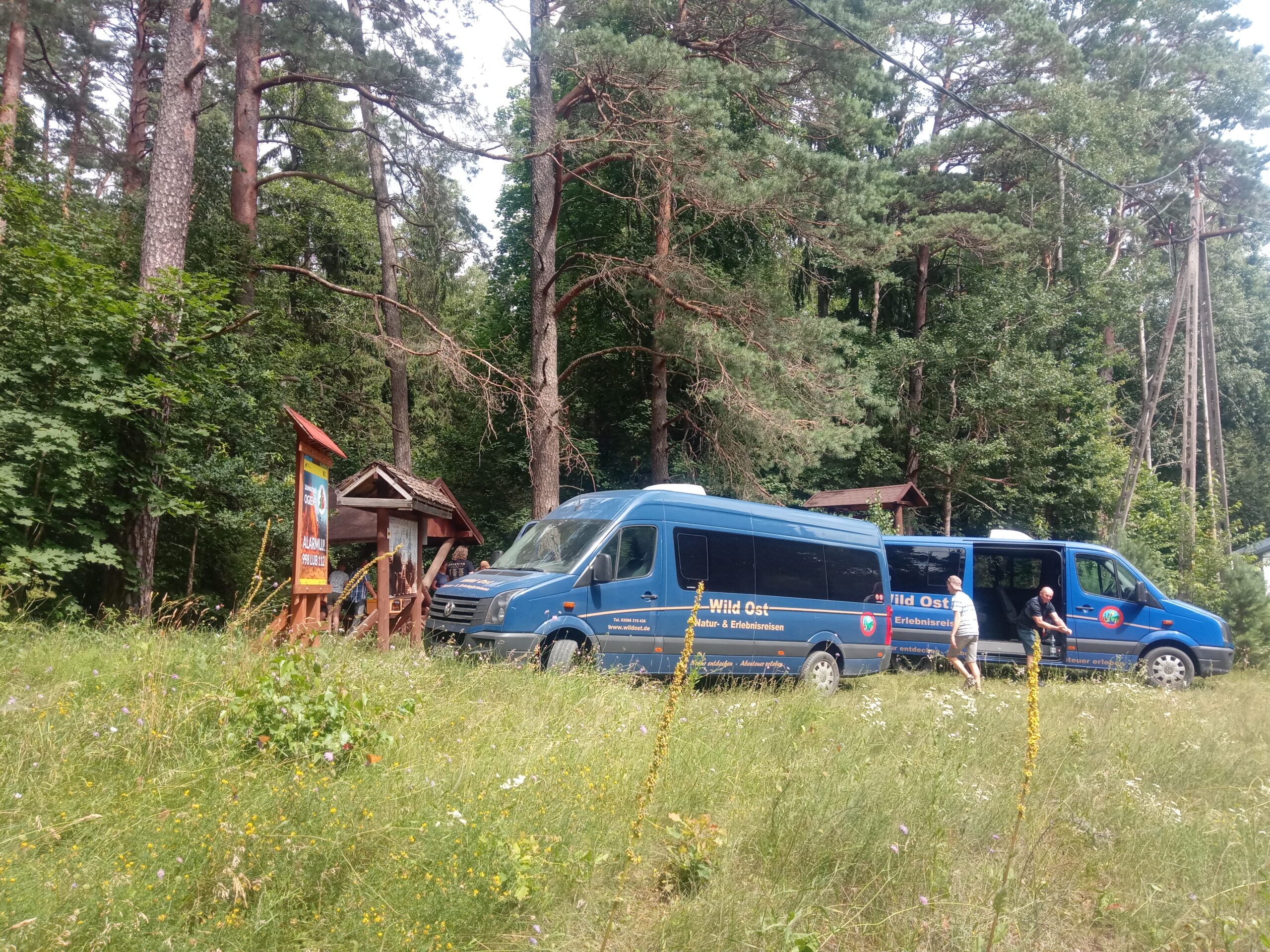 Unterwegs mit Wild Ost in Masuren.++++++++++