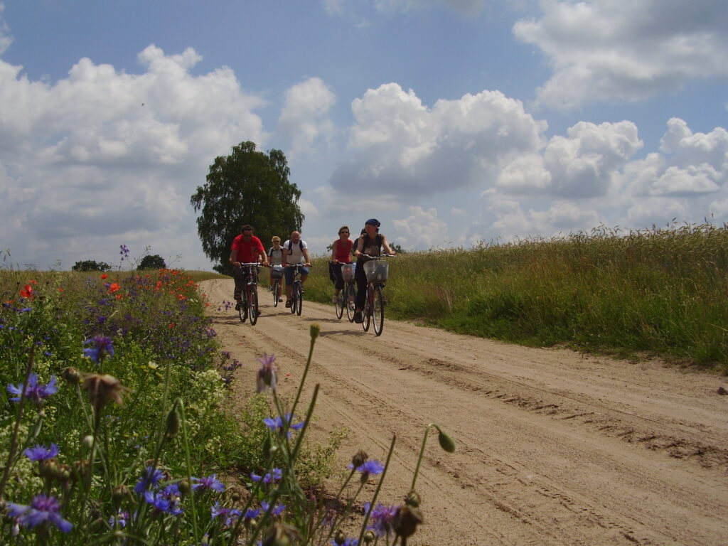 Schöne Radtouren durch die Natur in Masuren.