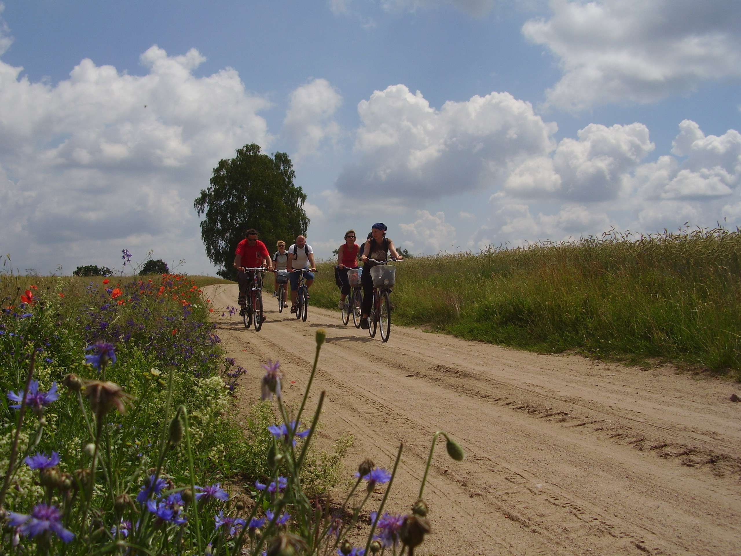 Schöne Radtouren durch die Natur in Masuren.