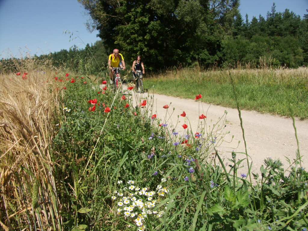 Mit dem Fahrrad durch Masuren.