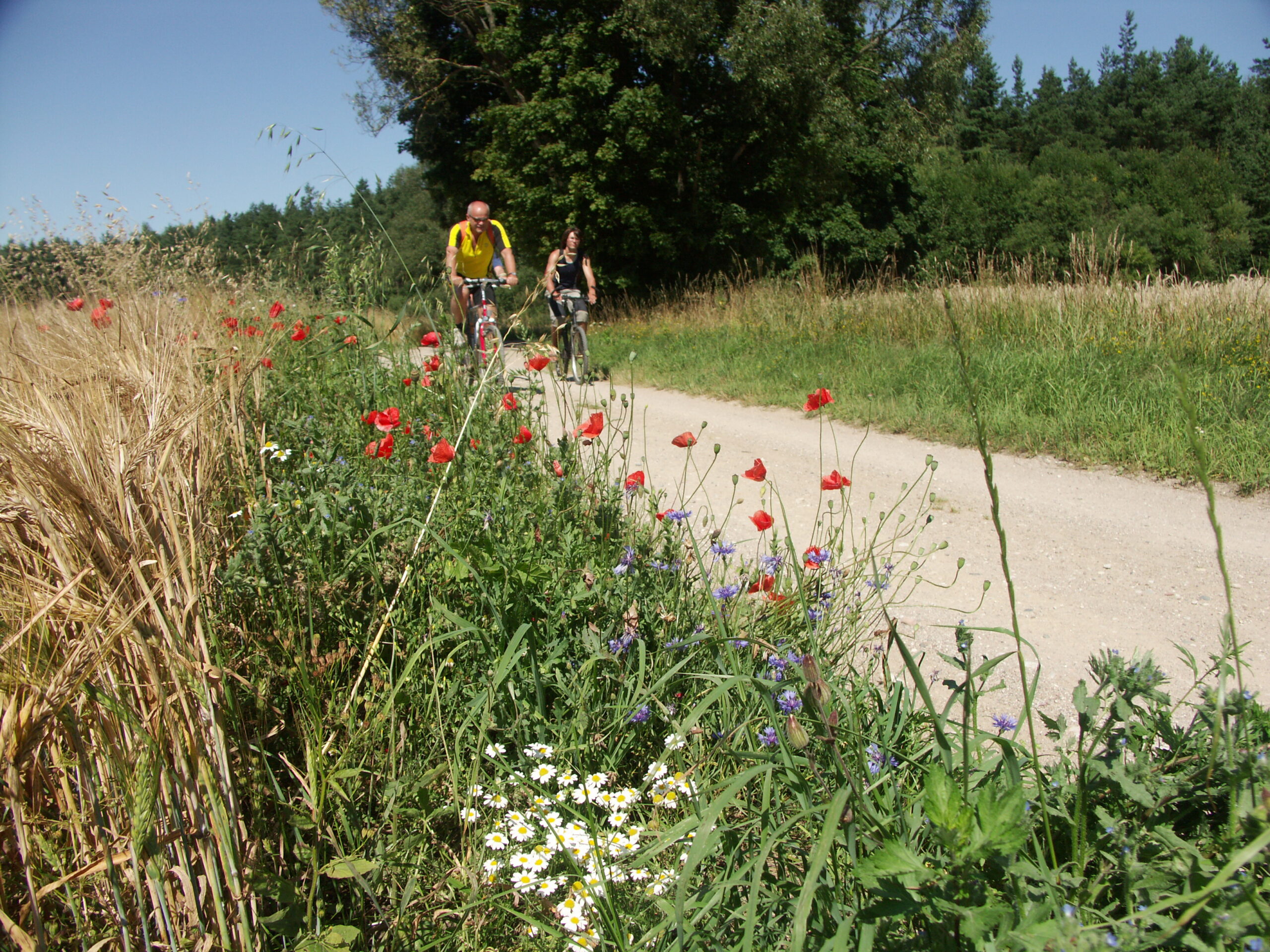 Mit dem Fahrrad durch Masuren.