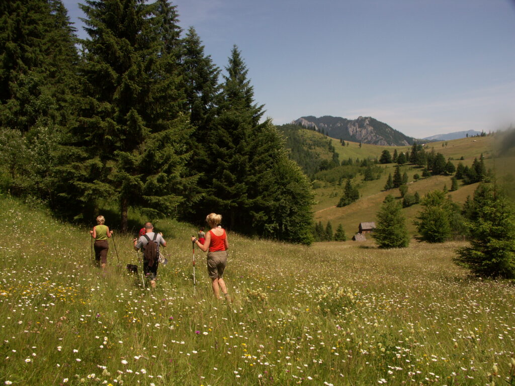 wandern-bihor-gebirge-westkarpaten