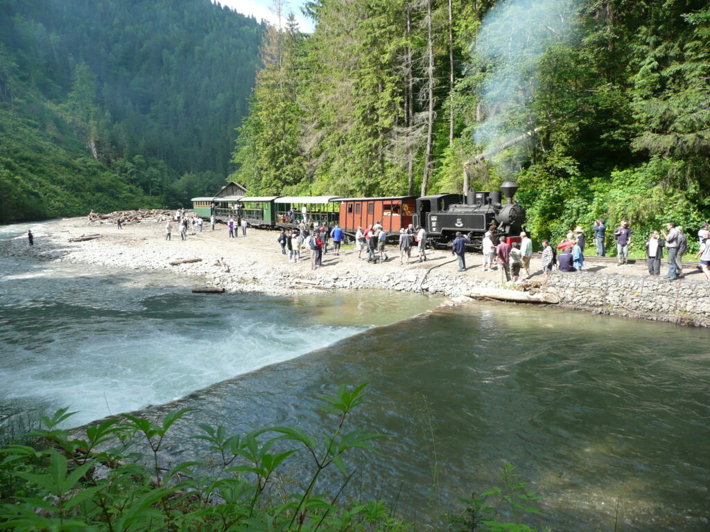wassertalbahn-im-valea-vaser-maramures