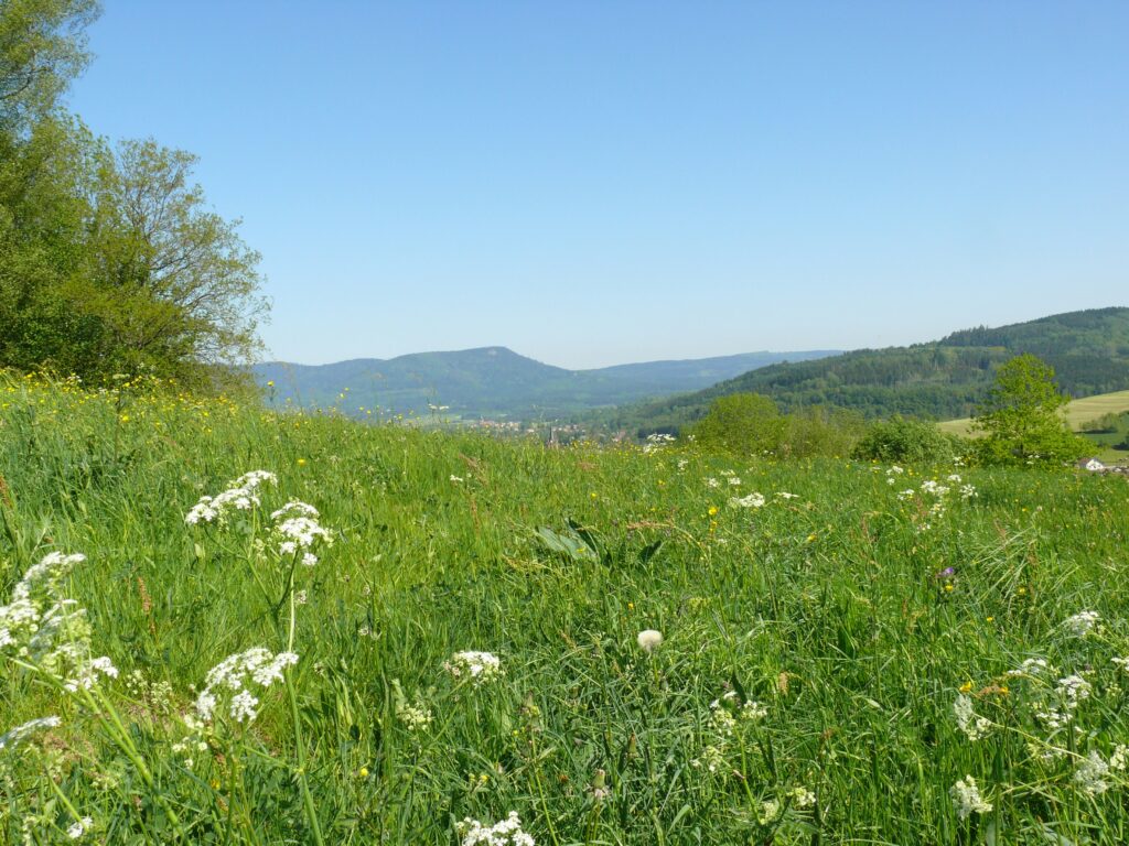 wandern-natur-vogesen