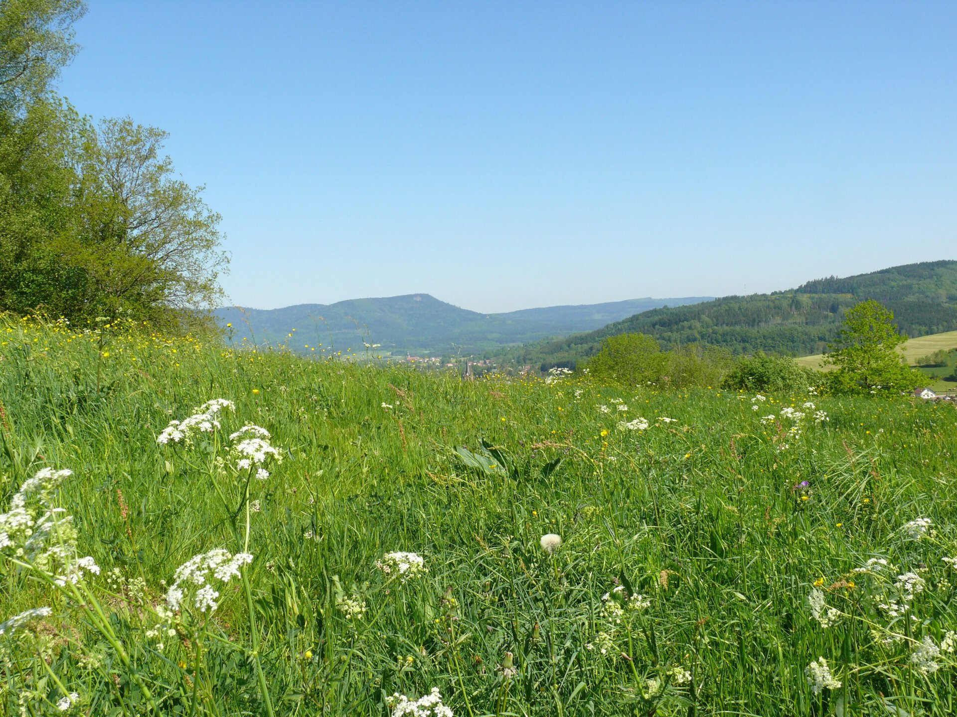 wandern-natur-vogesen